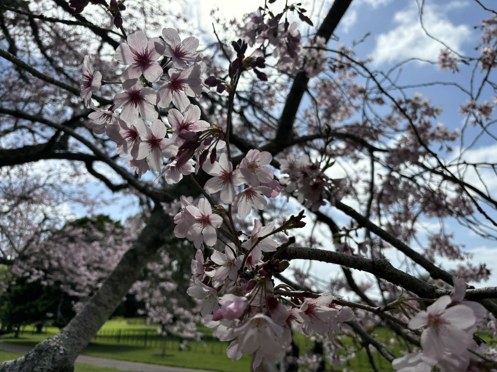 找生活老伴搭子