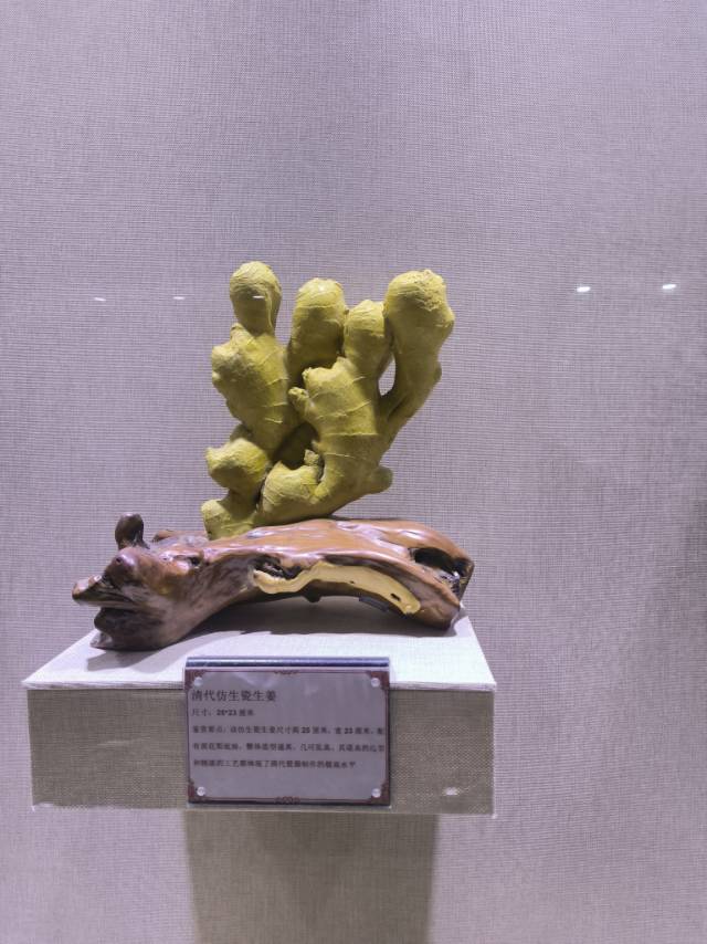 找聊天老伴搭子