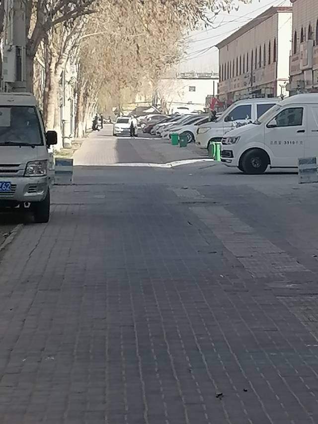 找散步老伴搭子