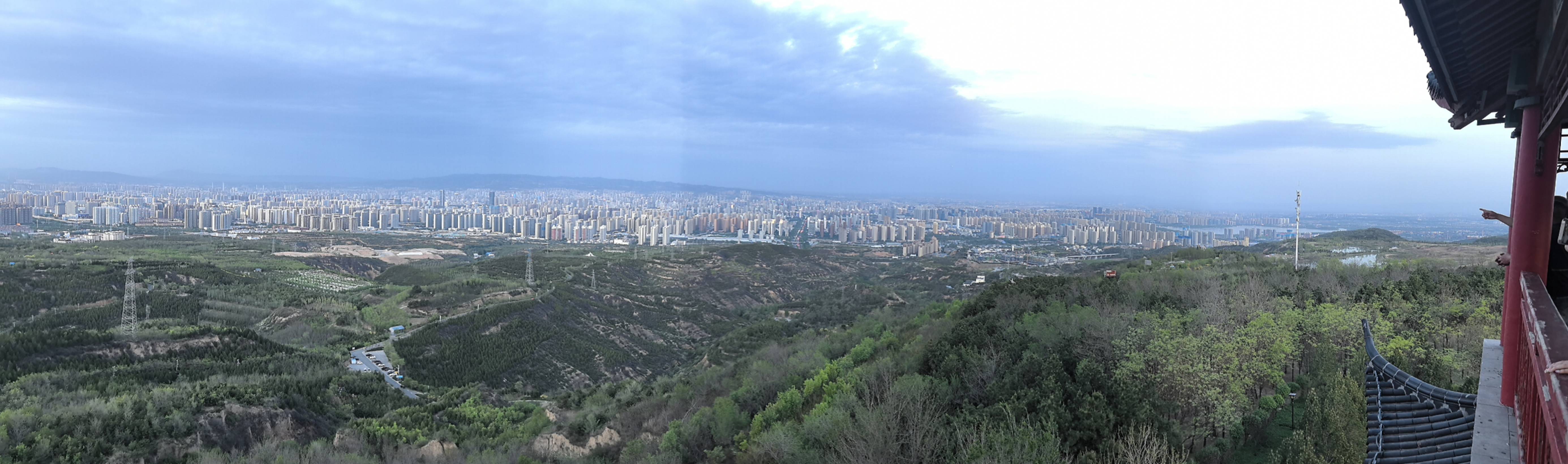 找聊天老伴搭子