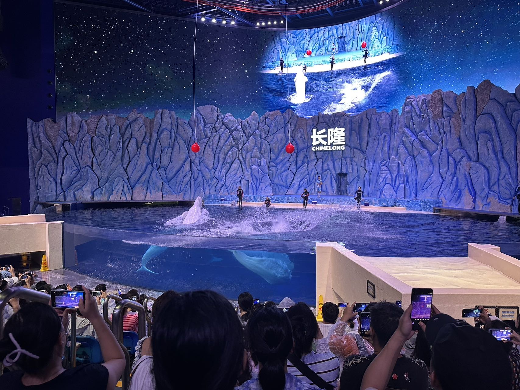 找聊天运动老伴搭子