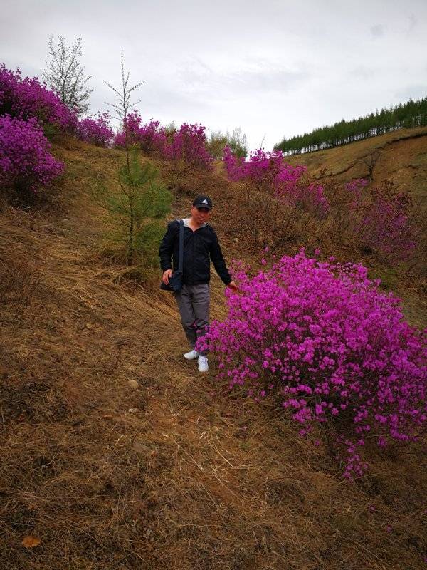 找生活伴侣老伴搭子