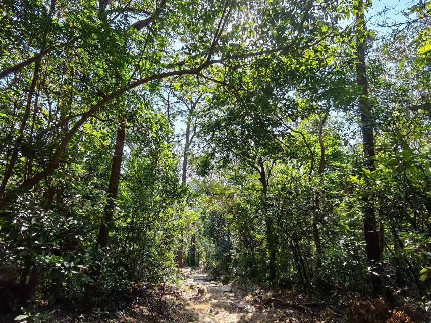 找骑行老伴搭子