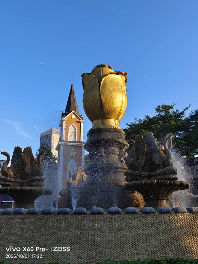 找聊天老伴搭子