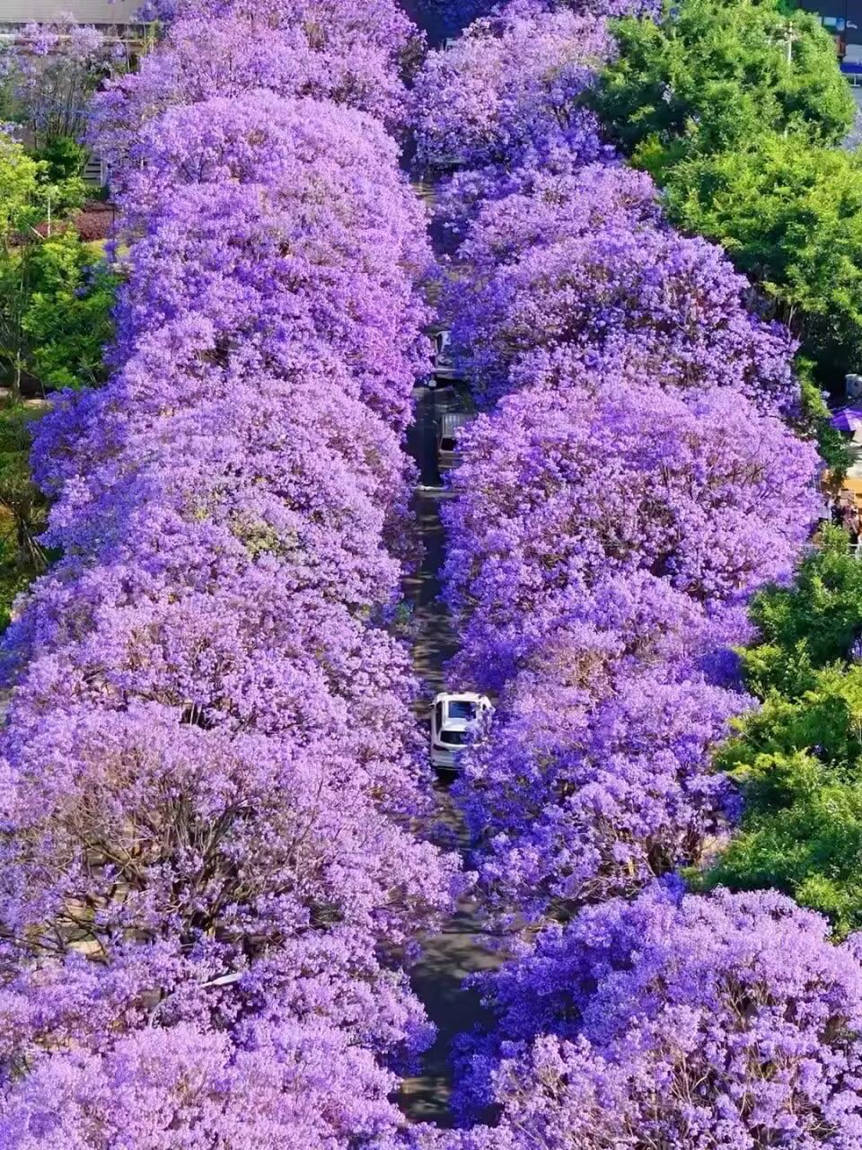 找恋爱老伴搭子