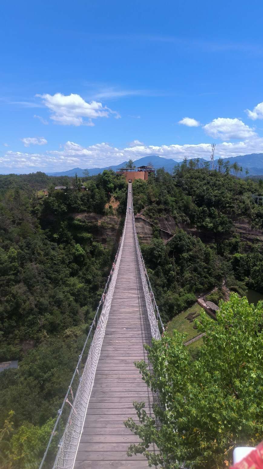 找聊天老伴搭子