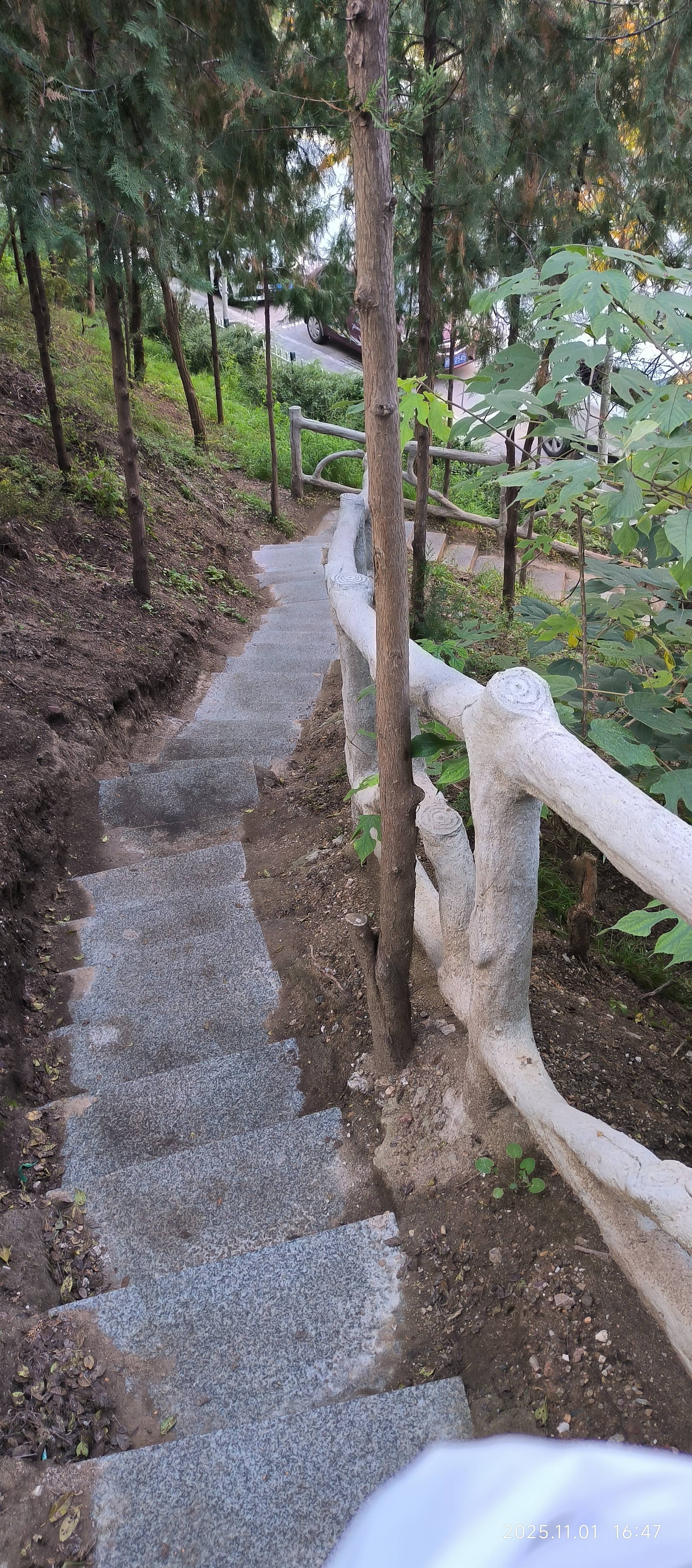 找健身跳舞或武术老伴搭子