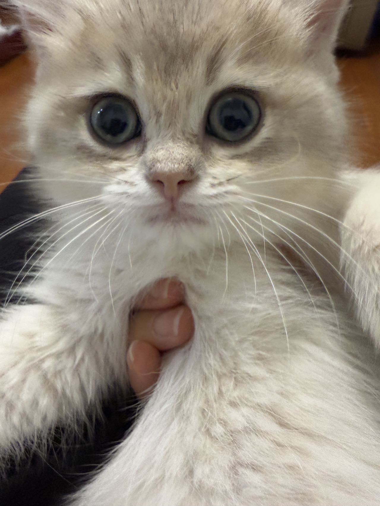 找徒步老伴搭子