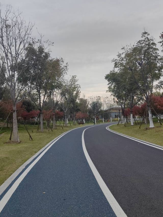 找散步老伴搭子