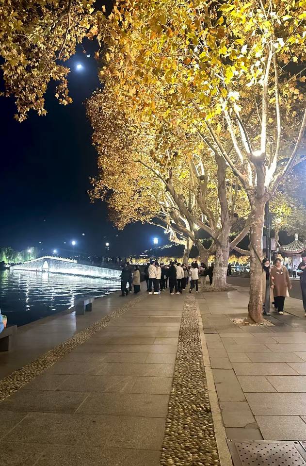 找伴侣老伴搭子