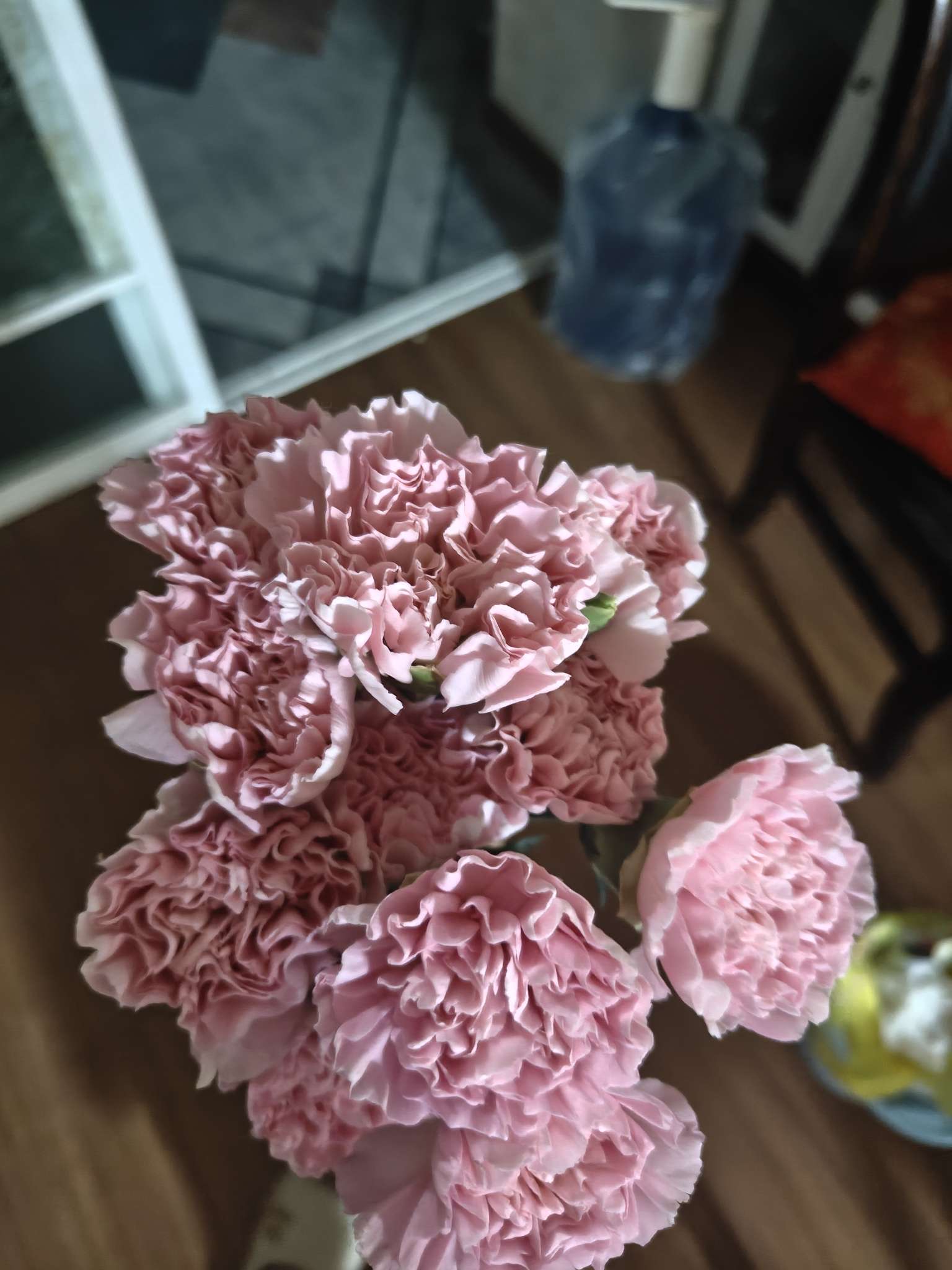 找知暖知热老伴搭子