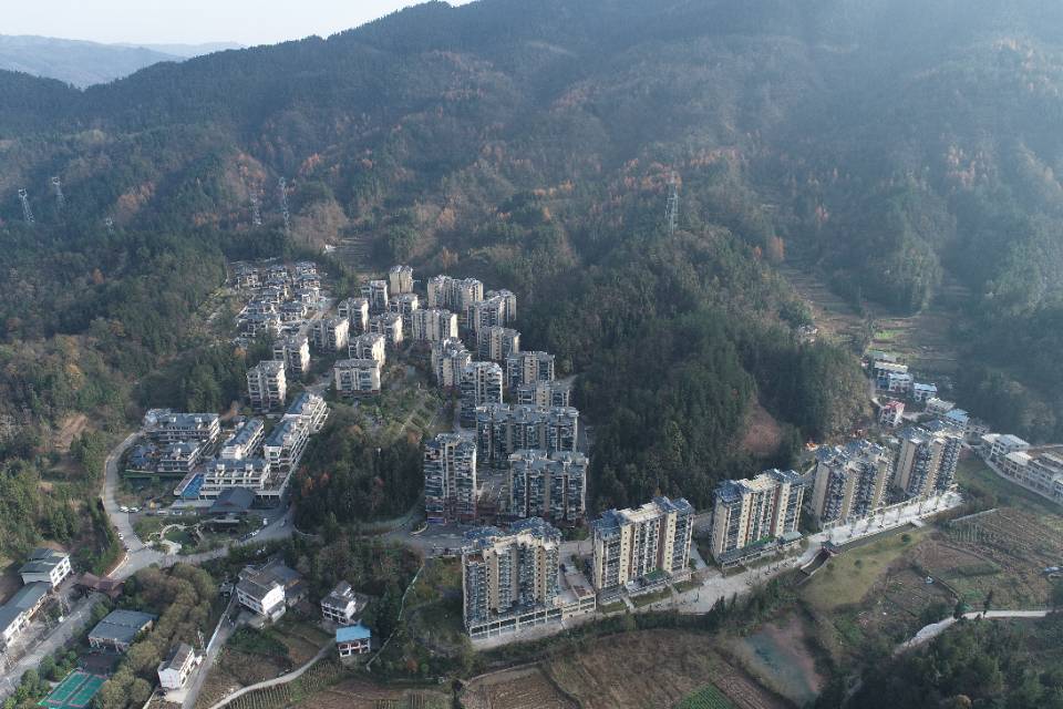 找散步老伴搭子