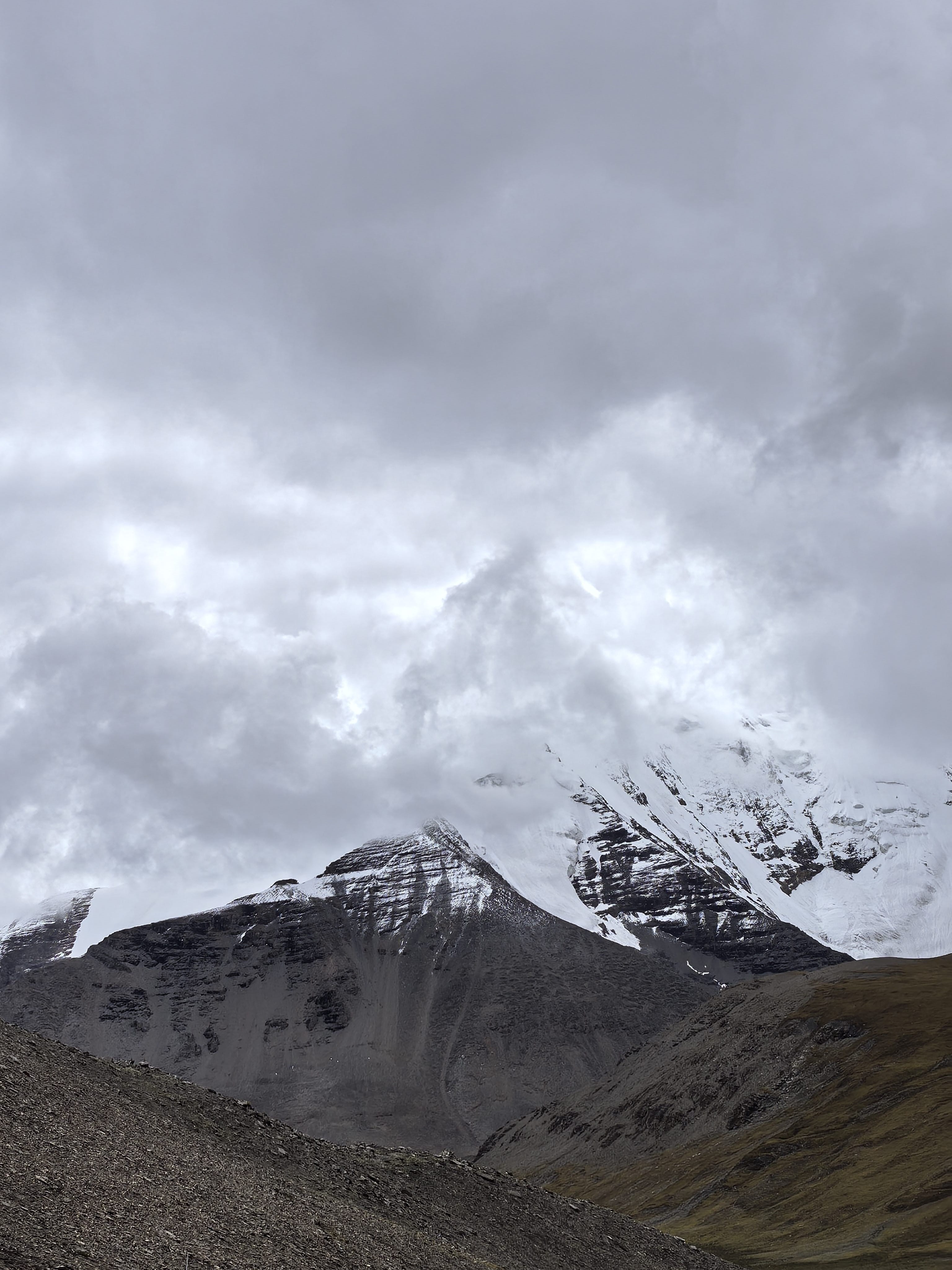 找伴侣老伴搭子