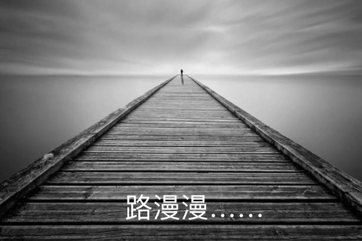 找生活老伴搭子