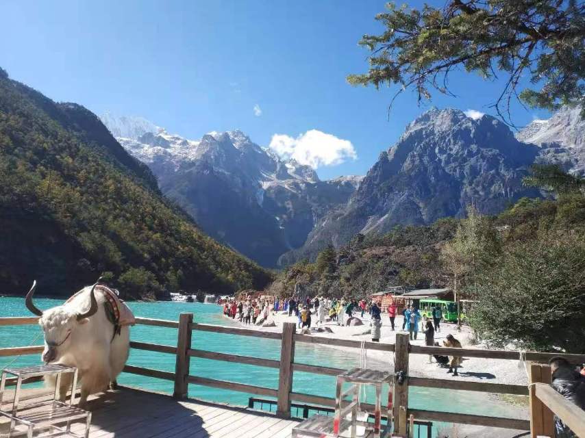 找美食老伴搭子