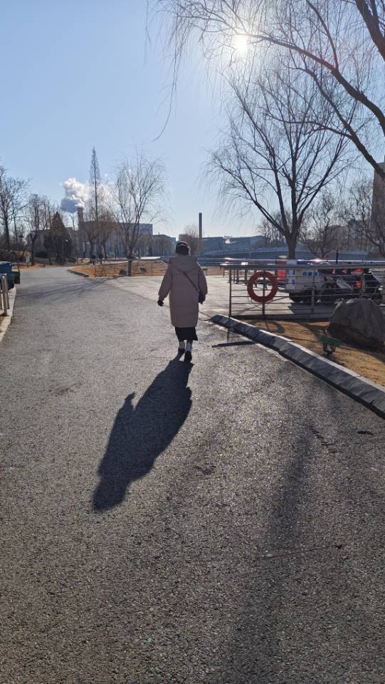 找生活老伴搭子
