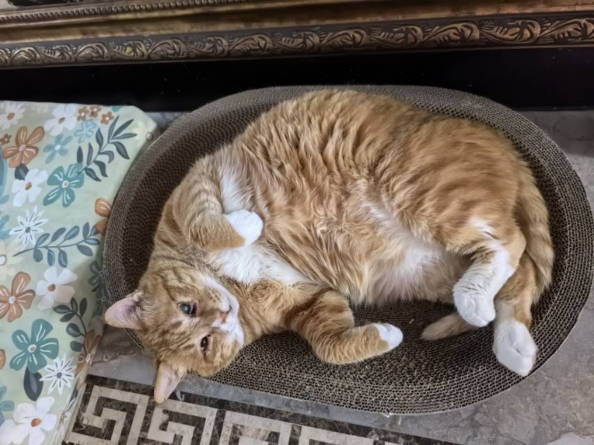 找运动老伴搭子