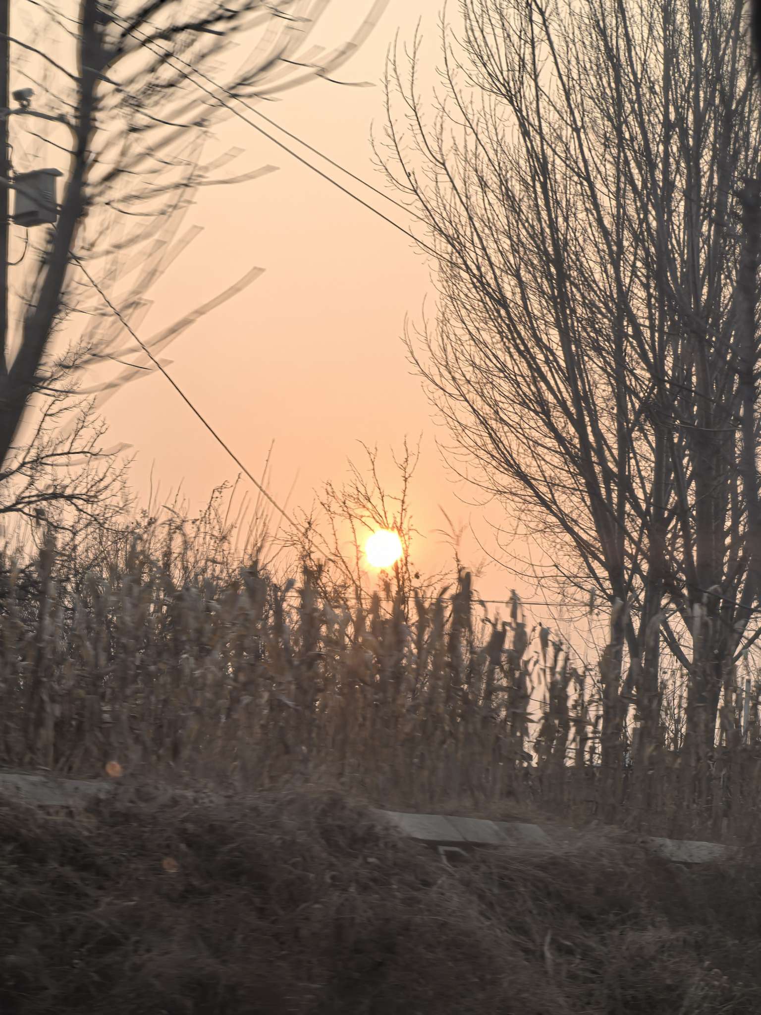 找生活老伴搭子