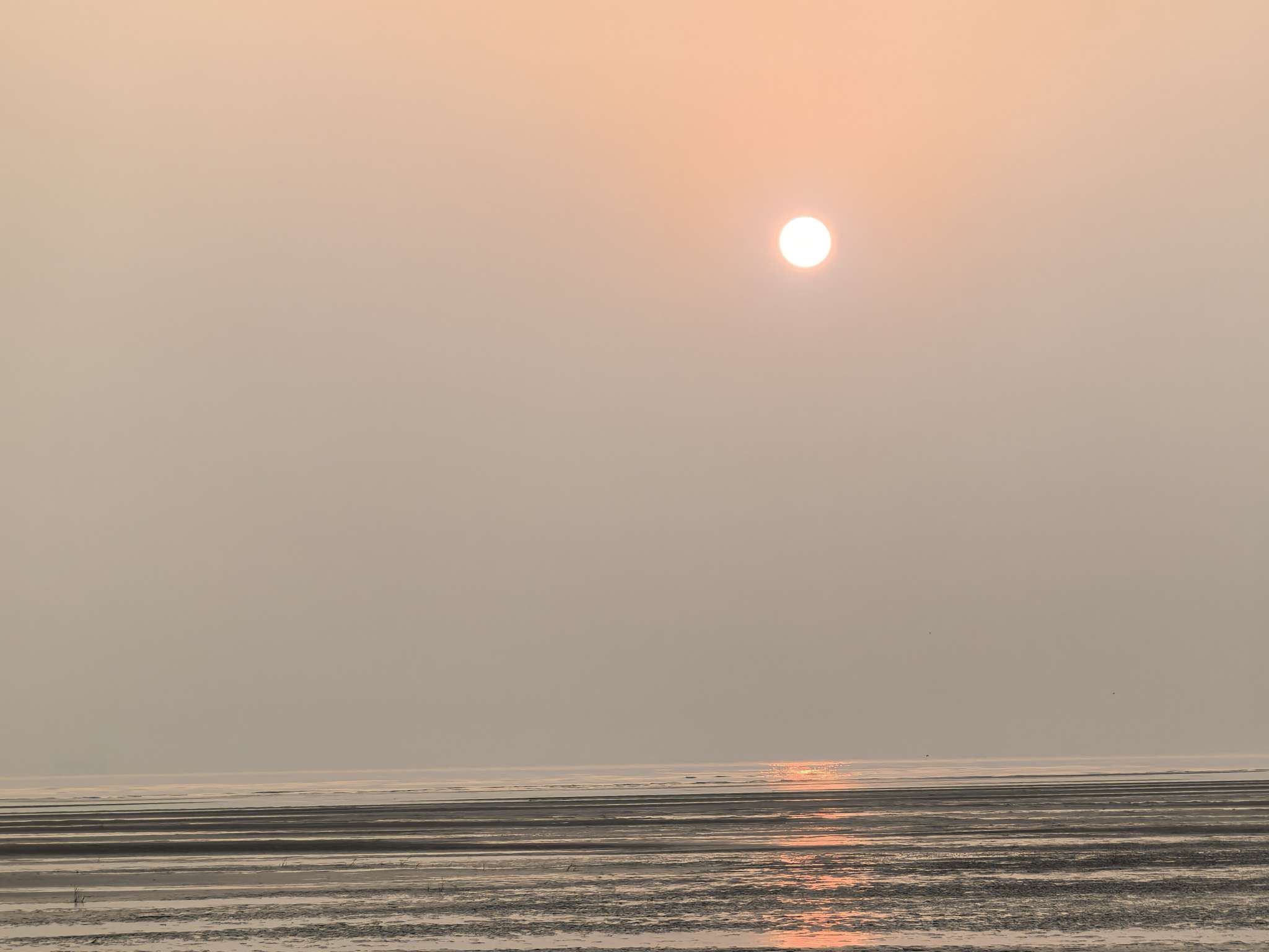 找生活老伴搭子