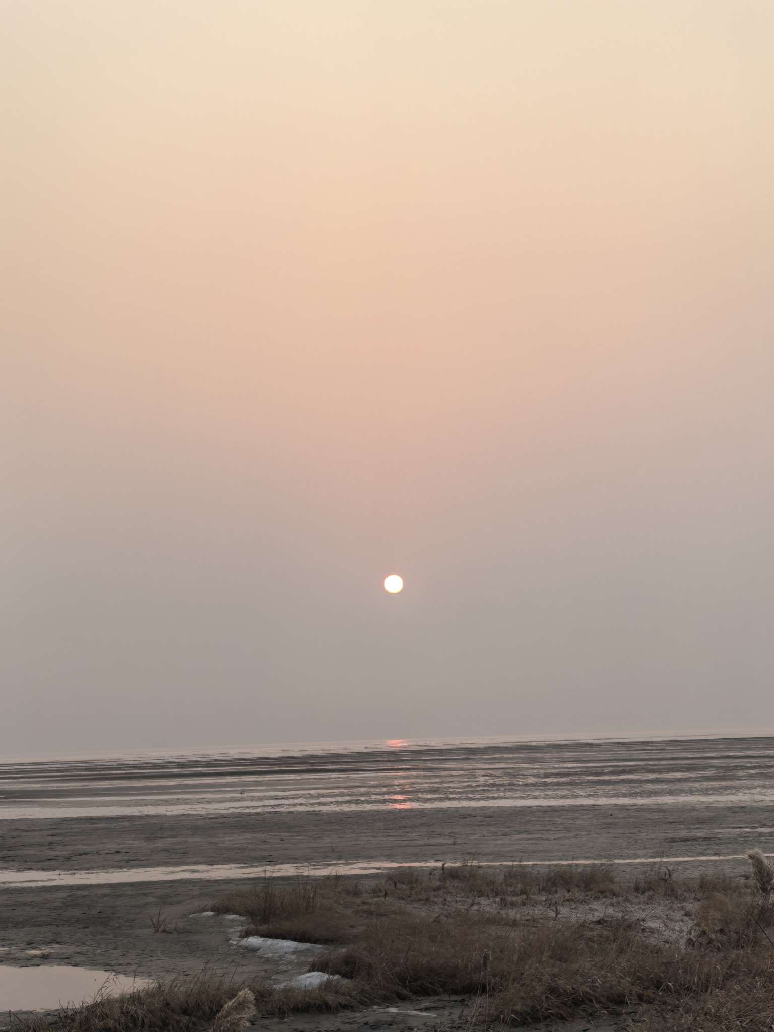 找生活老伴搭子