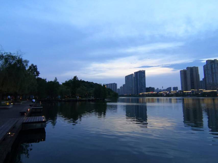 找生活老伴搭子