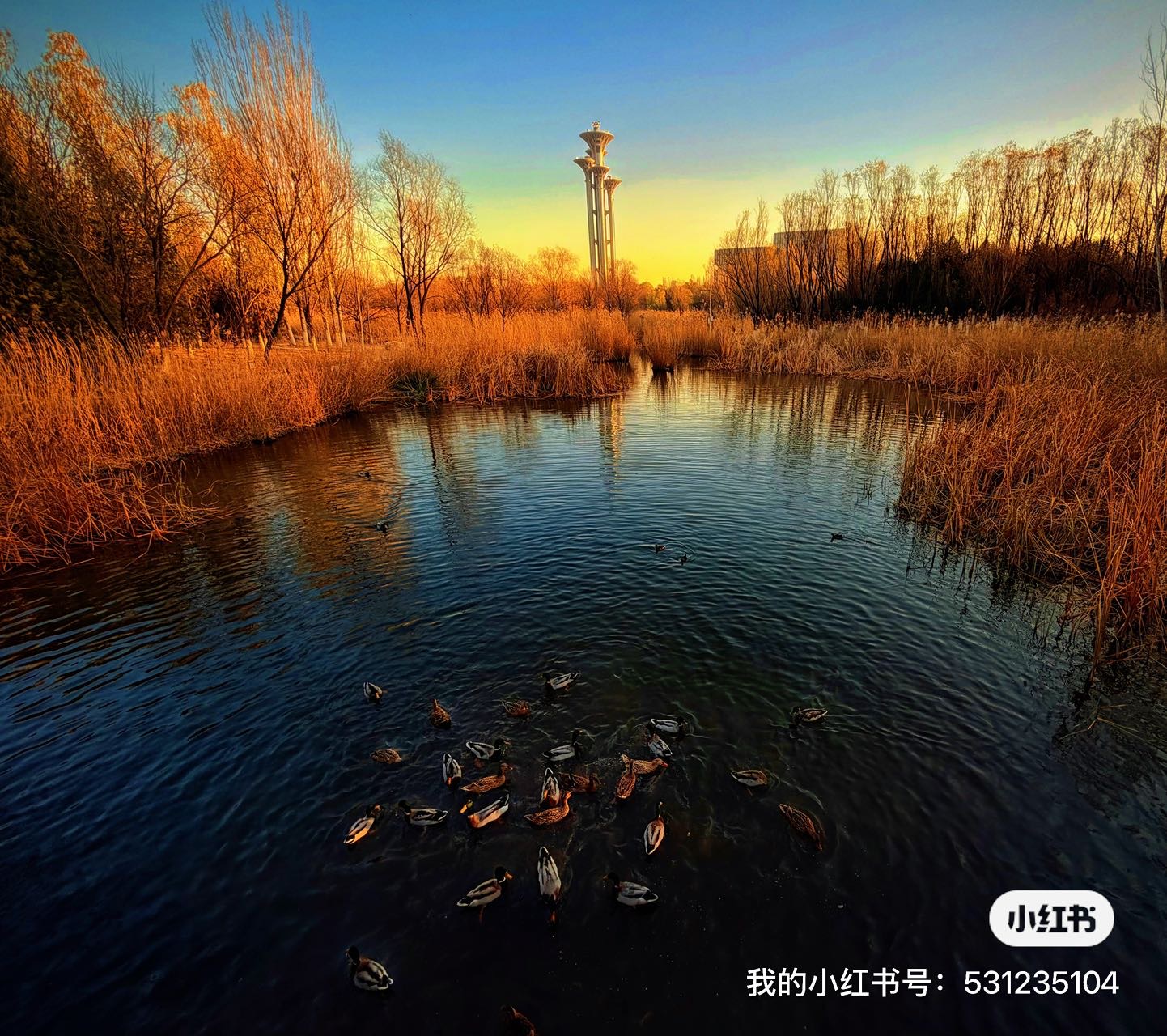 找溜达拍照老伴搭子