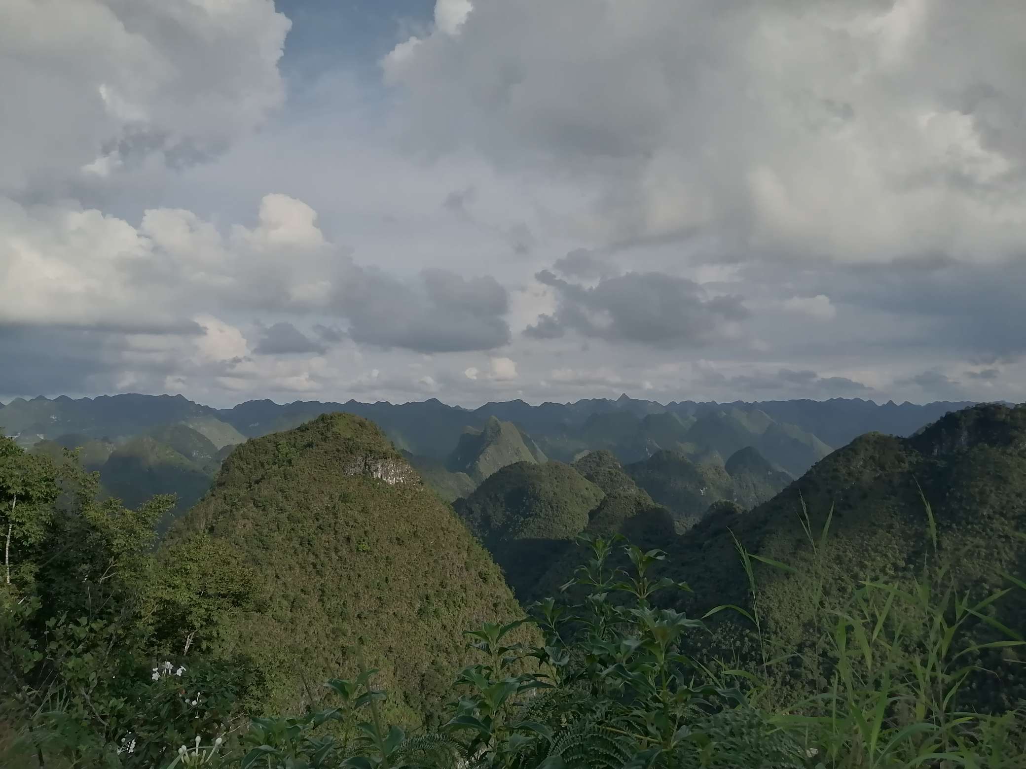 找谈心老伴搭子