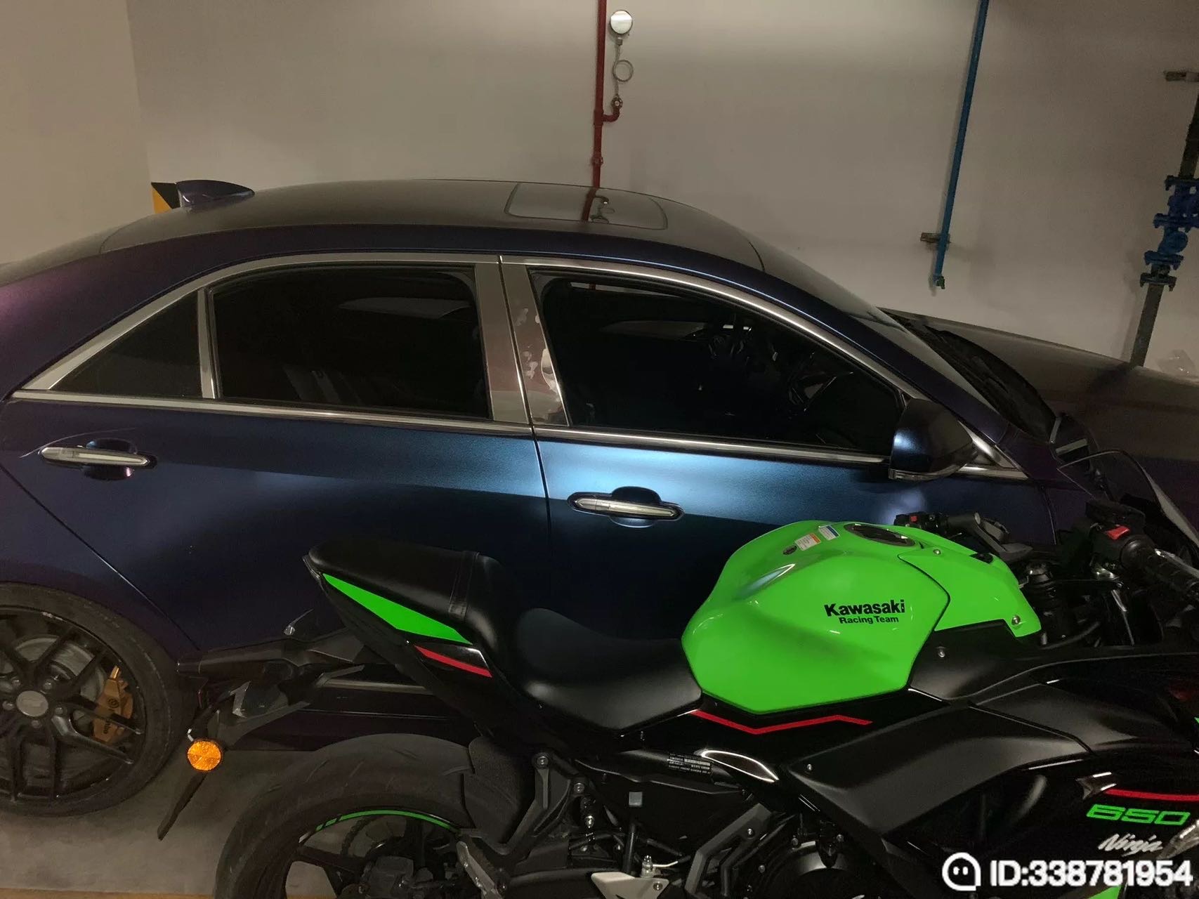 找生活老伴搭子