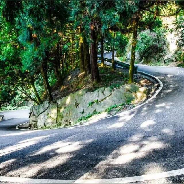 找异性老伴搭子