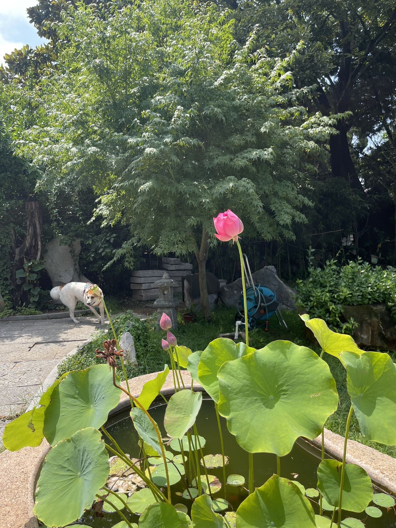 找游泳的老伴搭子