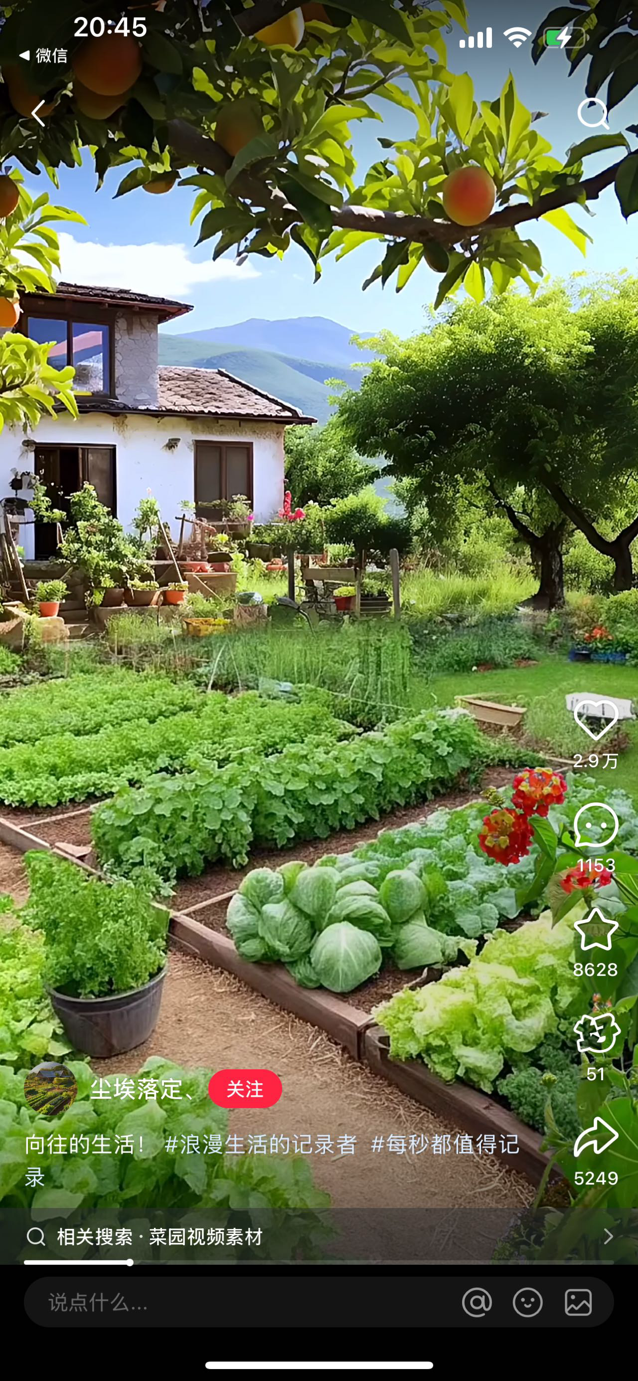 找旅游老伴搭子