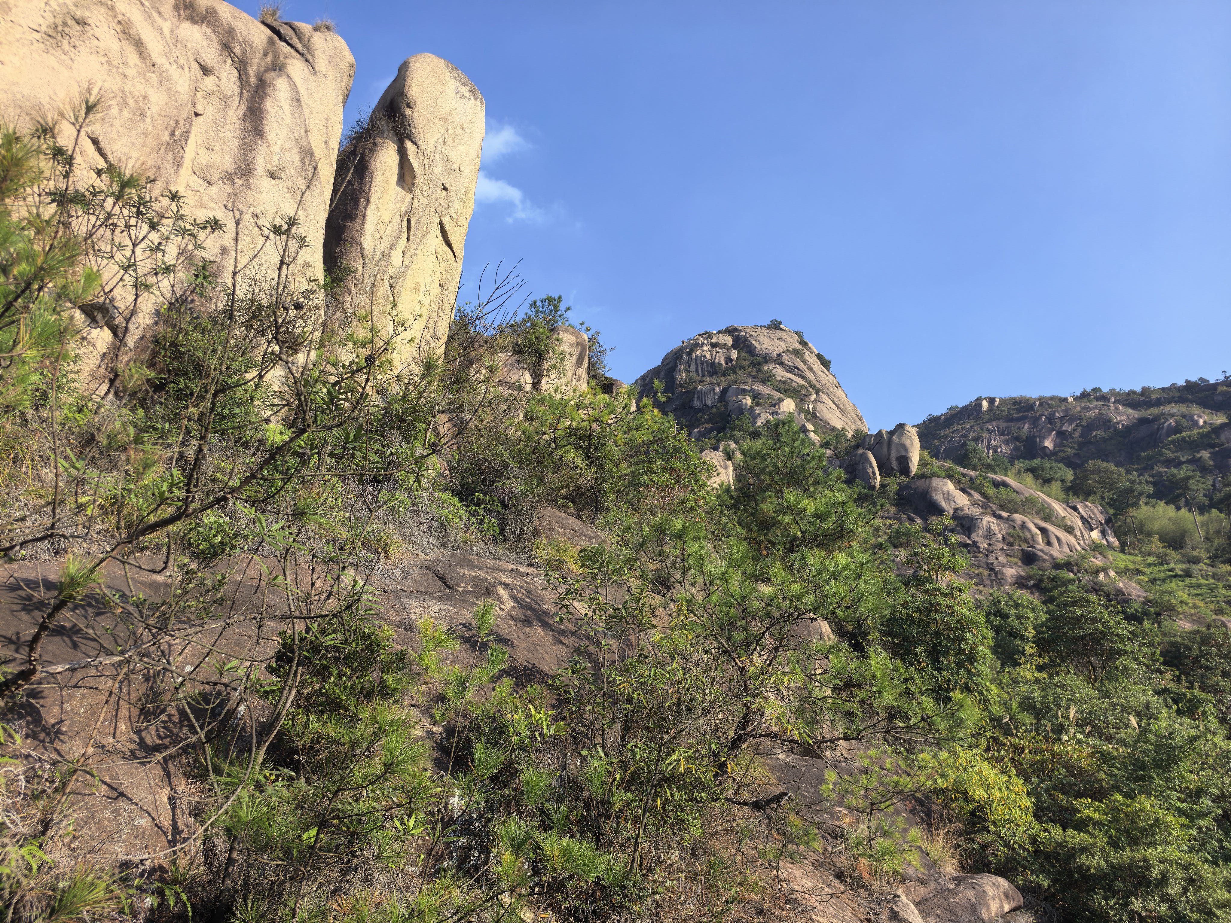 找爬山老伴搭子