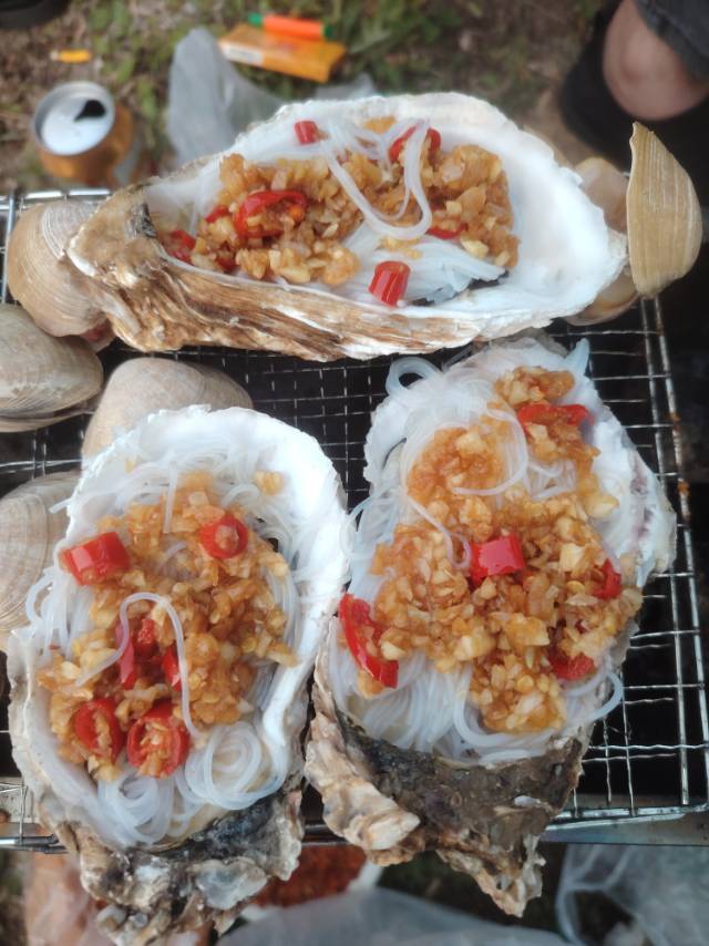 找脾气好老伴搭子