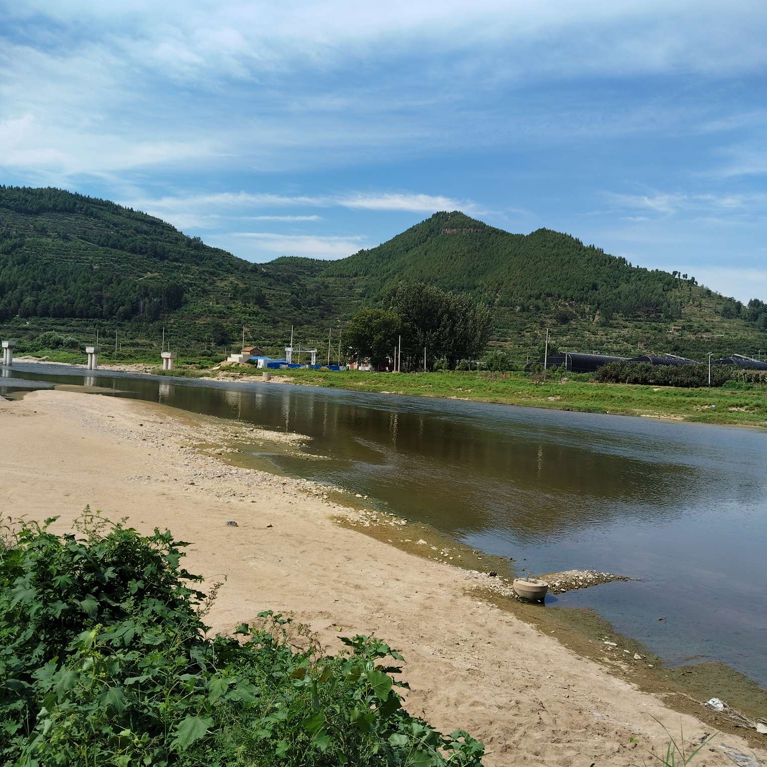 找养生老伴搭子