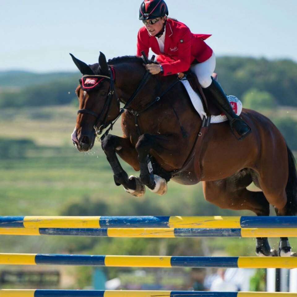 找养生老伴搭子