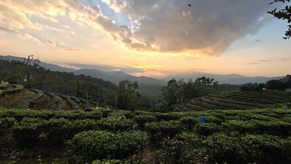 找旅游老伴搭子