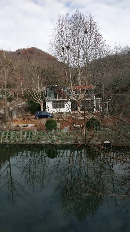 找约会老伴搭子