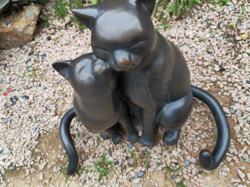 找懂人性老伴搭子