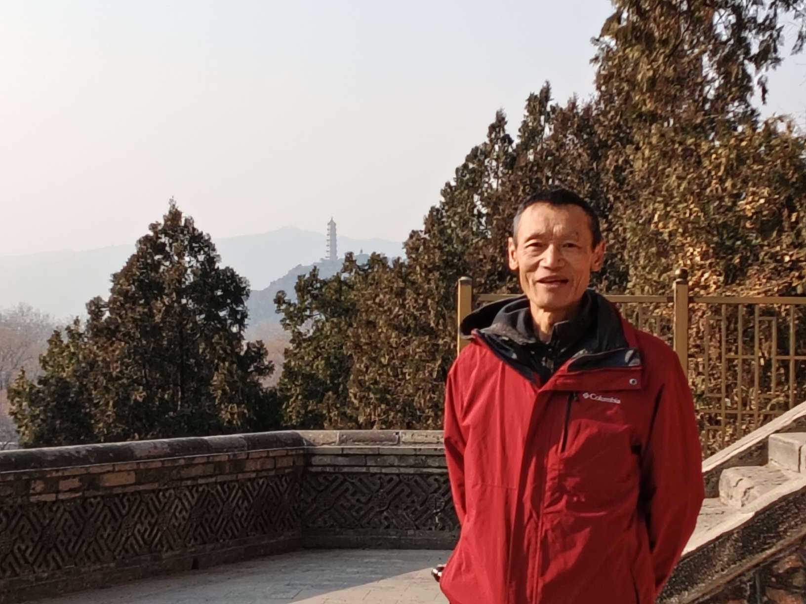 找生活老伴搭子