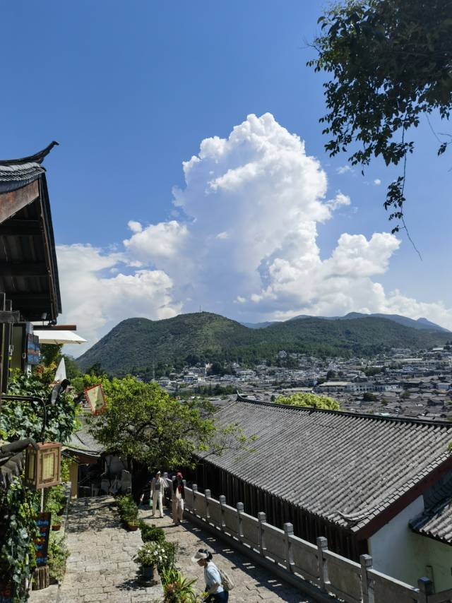 找旅游老伴搭子