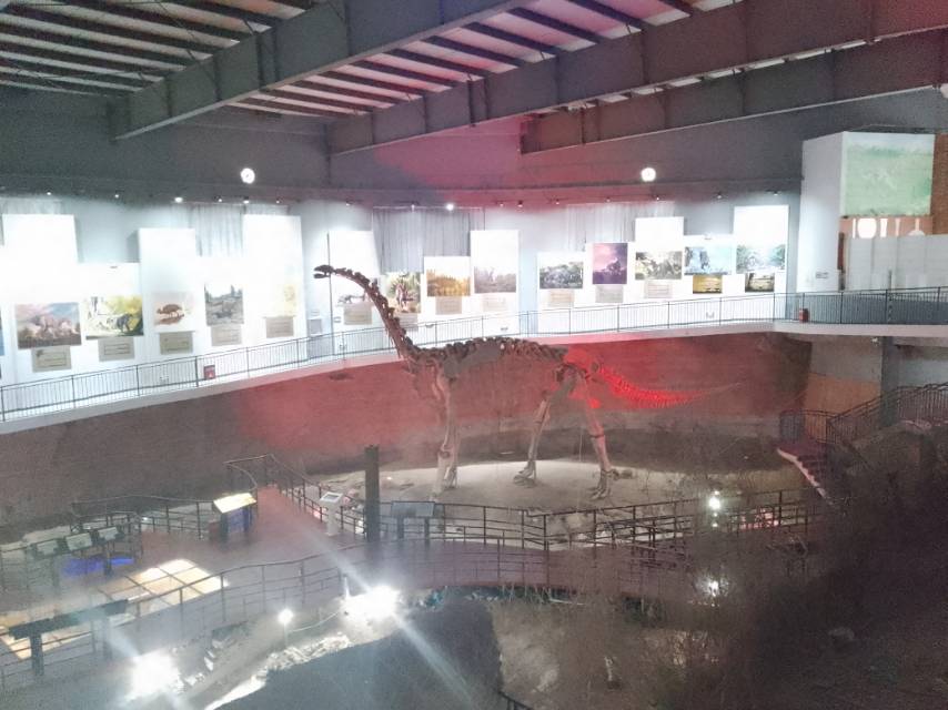 找过日子老伴搭子