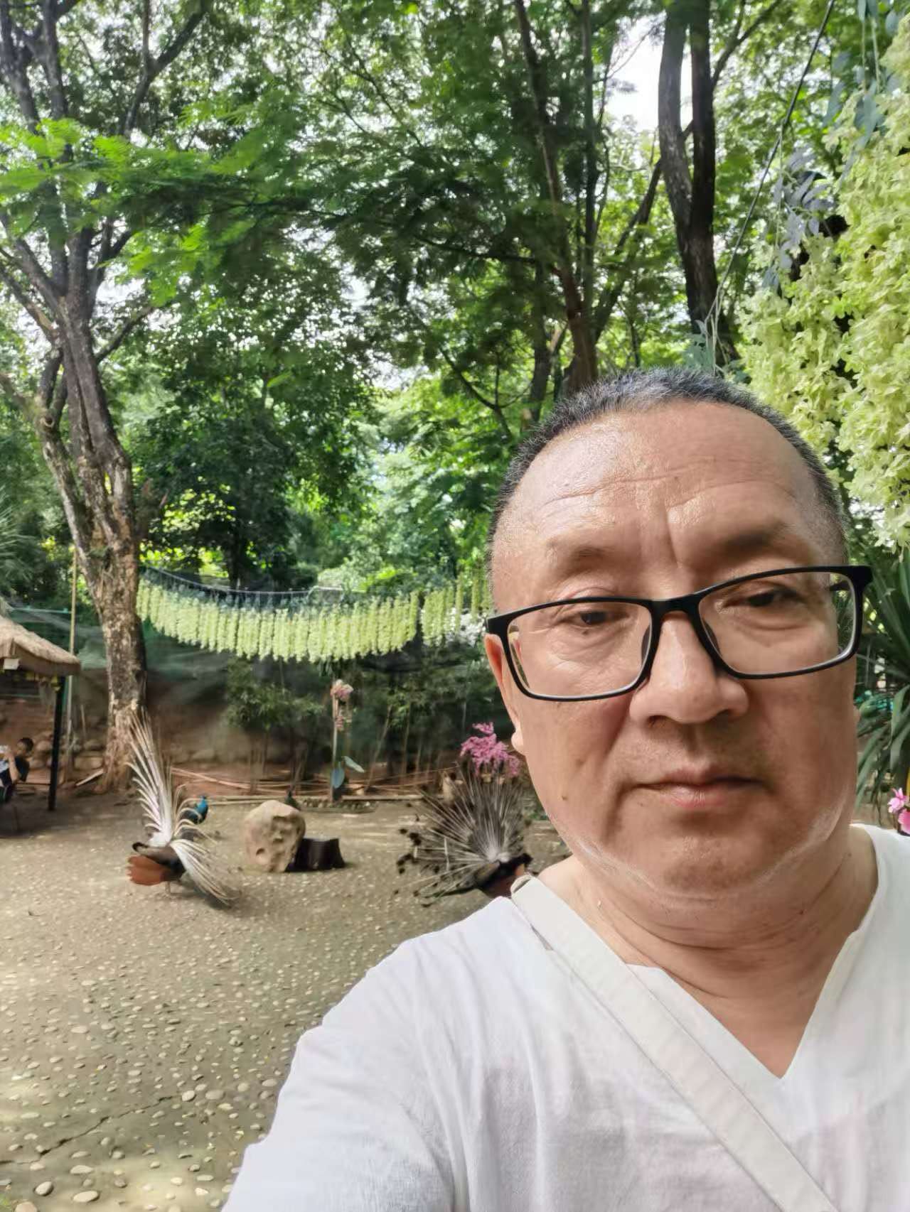 找游泳老伴搭子