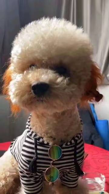 找旅游老伴搭子