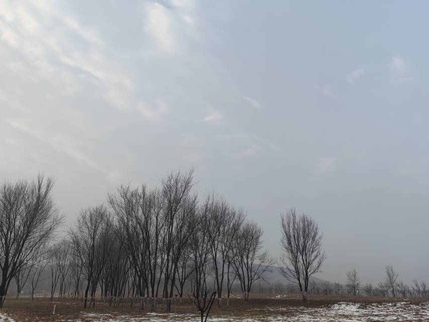 找运动老伴搭子