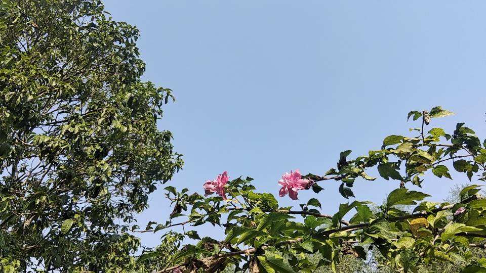 找读书老伴搭子