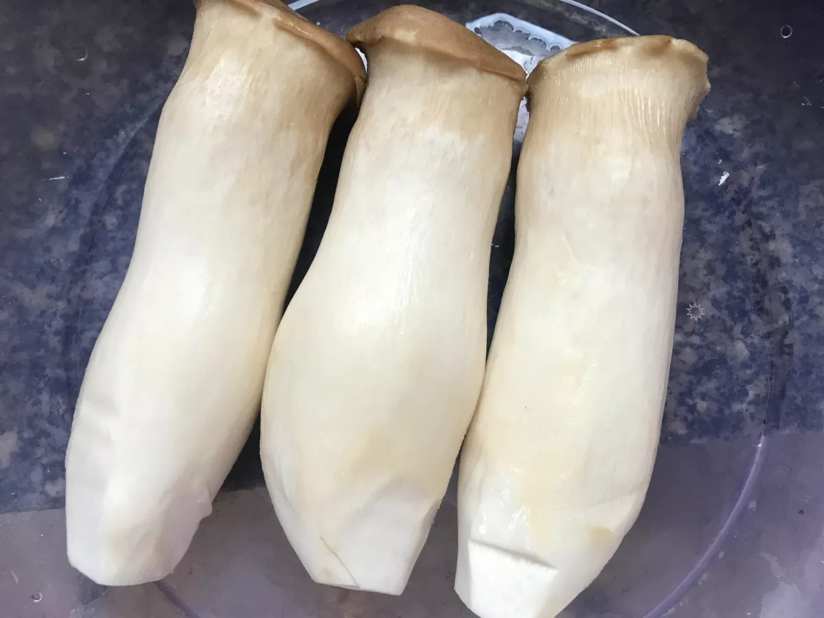 找聊天老伴搭子