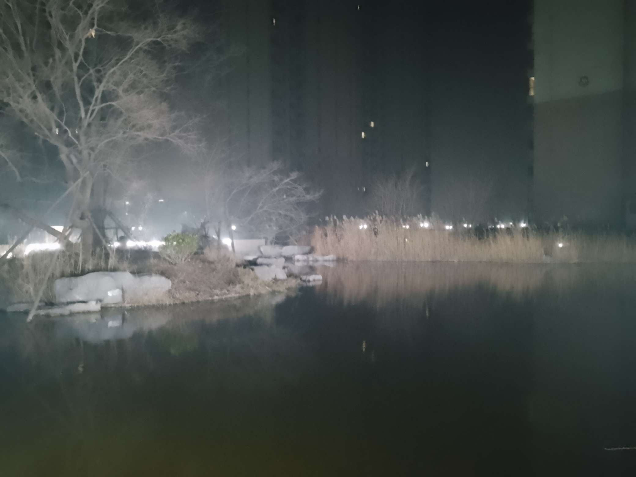 找爱旅游老伴搭子