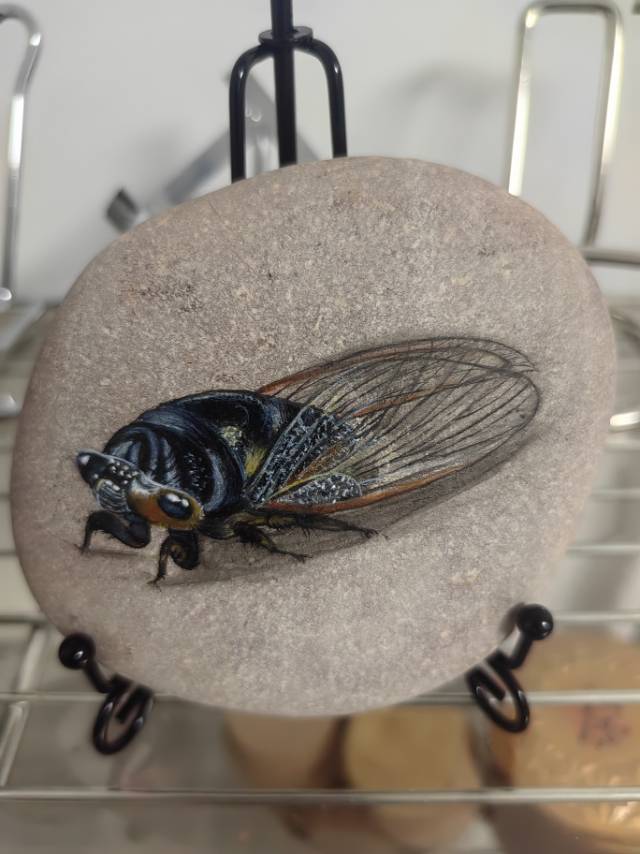 找旅行老伴搭子