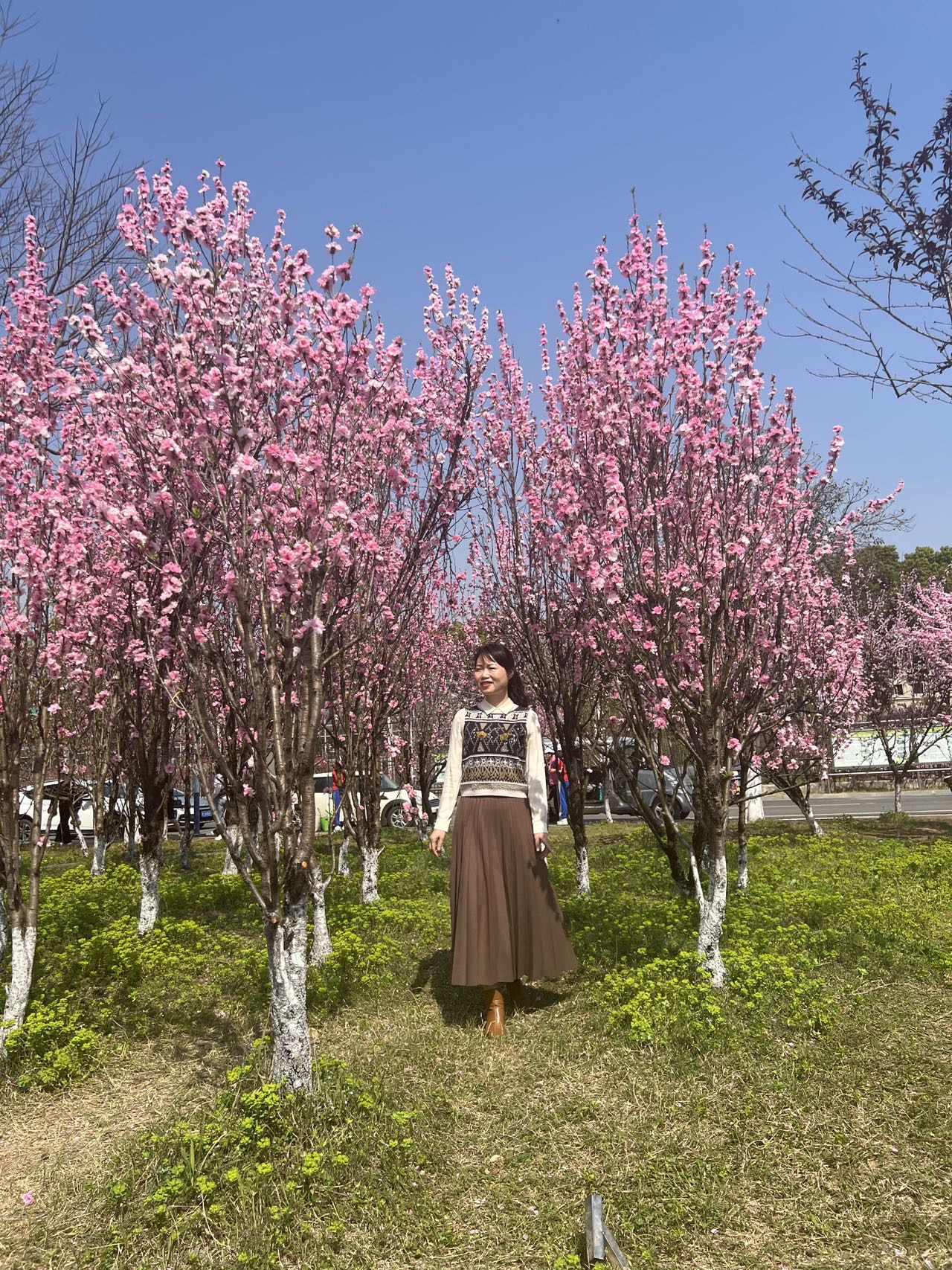 找健生旅游老伴搭子