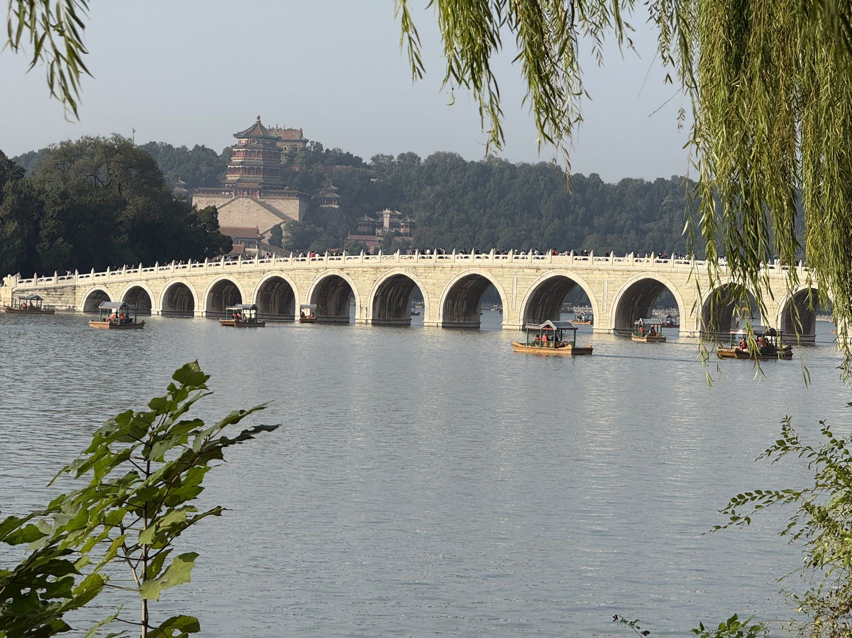 找聊天老伴搭子